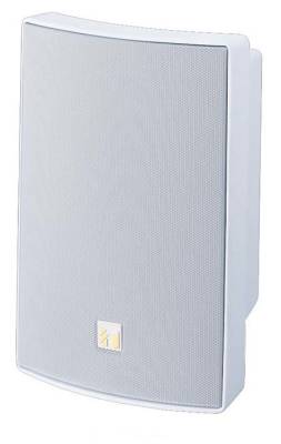 BS-1030 W Anons Tipi Hoparlör - 1