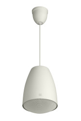 PE-304 Sarkıt Tipi Hoparlör 100V - Toa