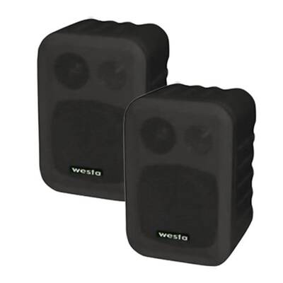 WM-305 W/B 4 inç 100W 8 ohm Duvar Hoparlör - 1