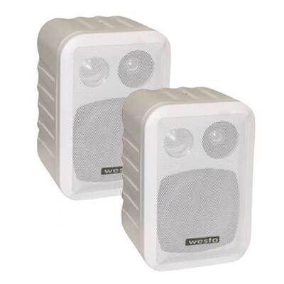 WM-305 W/B 4 inç 100W 8 ohm Duvar Hoparlör - 2
