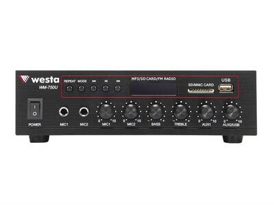 WM-750U 100 VOLT AMFİLER - 2