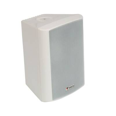 WS-8W 8 inç 180W 8 ohm Duvar Hoparlör - 2