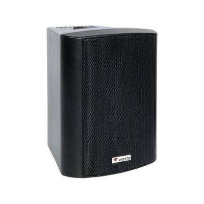 WS-8W 8 inç 180W 8 ohm Duvar Hoparlör - 1