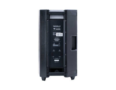 WSS-1712 - 12” Kabin Hoparlör - 3
