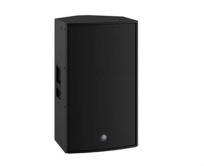 CZR15 15 inç 800W Pasif Hoparlör - 2