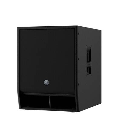 DXS15XLF-D Güçlü Subwoofer - 1